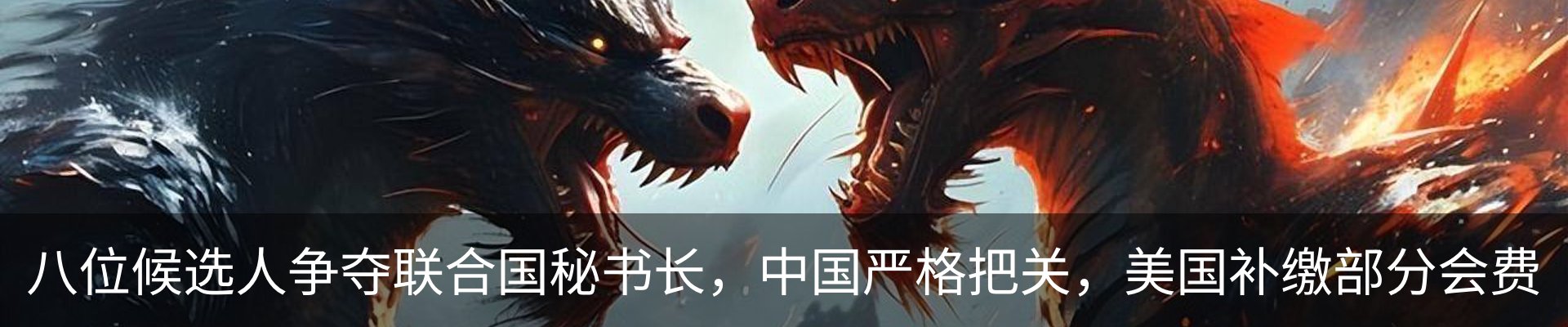 新闻动态